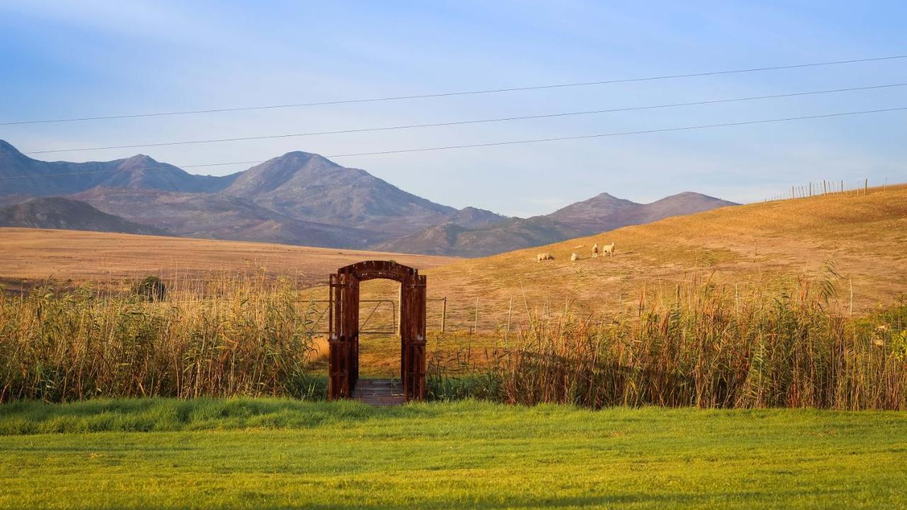 Endless Vineyards at Wildekrans Wine Estate Pensionat Botrivier Eksteriør billede