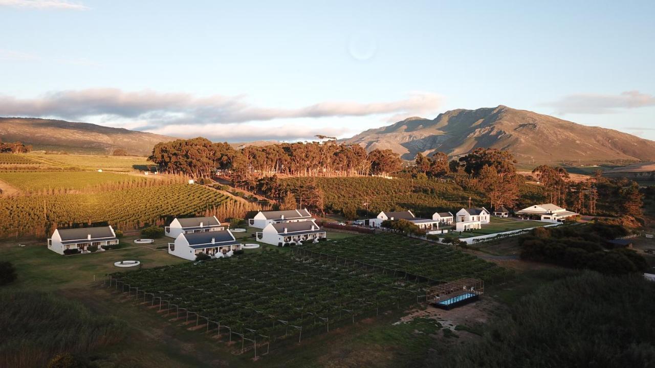 Endless Vineyards at Wildekrans Wine Estate Pensionat Botrivier Eksteriør billede