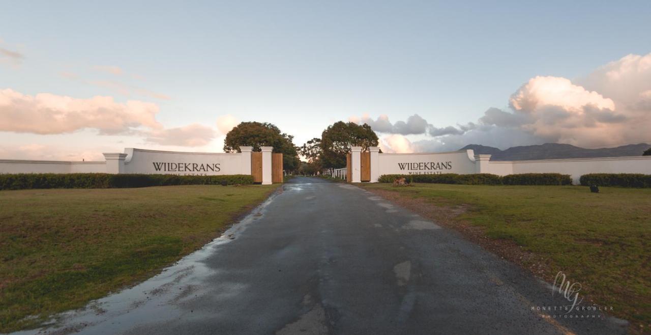 Endless Vineyards at Wildekrans Wine Estate Pensionat Botrivier Eksteriør billede