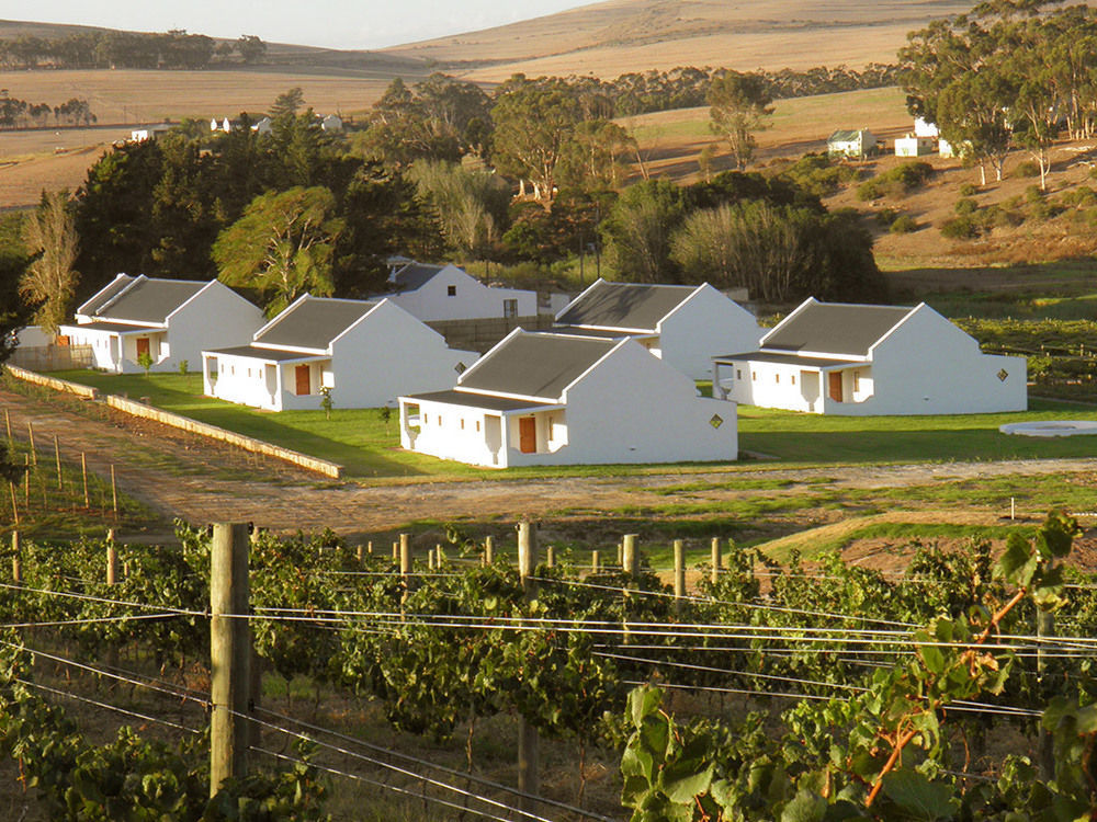 Endless Vineyards at Wildekrans Wine Estate Pensionat Botrivier Eksteriør billede