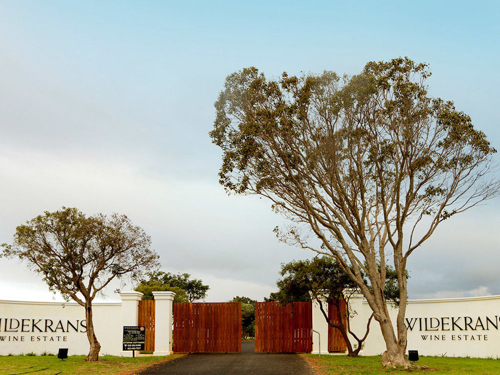 Endless Vineyards at Wildekrans Wine Estate Pensionat Botrivier Eksteriør billede
