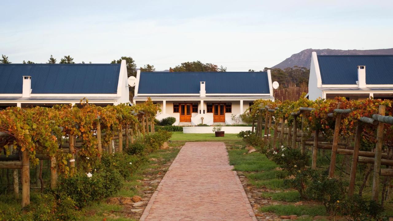 Endless Vineyards at Wildekrans Wine Estate Pensionat Botrivier Eksteriør billede